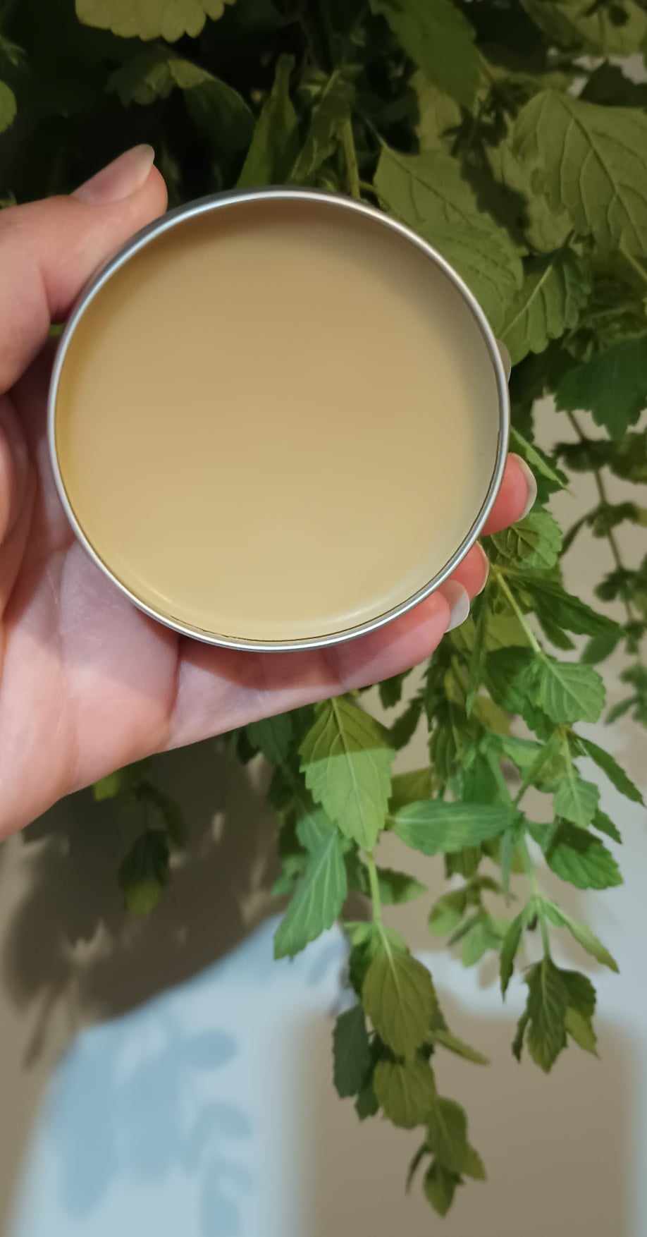 Bug Bite Balm ~ Plant Based ~ Natural Ingredients ~ Bug Repellant ~ Itch Relief ~ Skin Protectant Balm