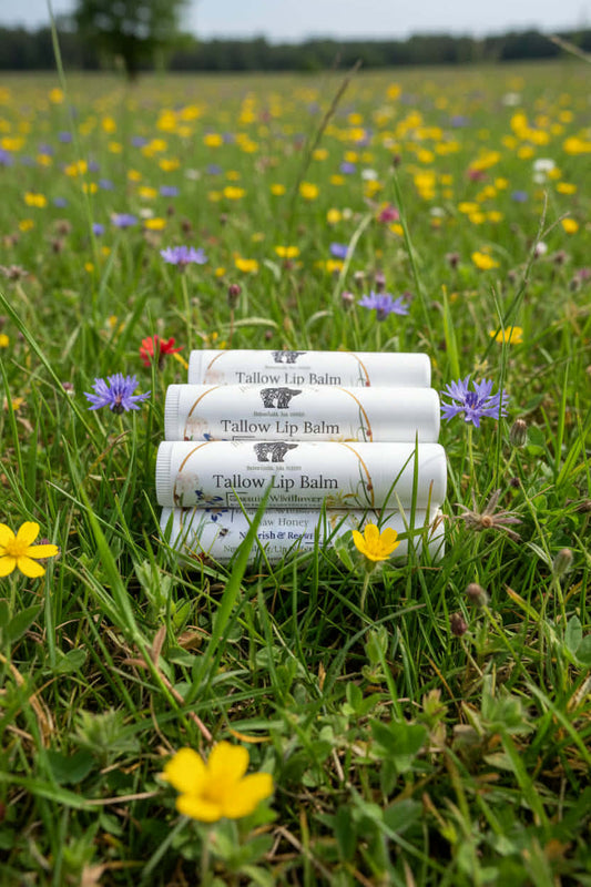 Grass-Fed Tallow Lip Balm – Organic Raw Honey & Olive Oil